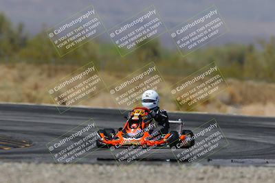 media/Mar-30-2025-Pro Autosports (Sun) [[34ff8f16e0]]/6-Purple Group/Session 2 Bowl Exit/